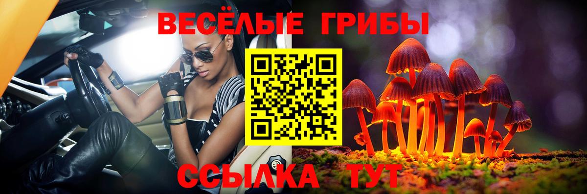 Псилоцибиновые грибы мицелий Кирово-Чепецк